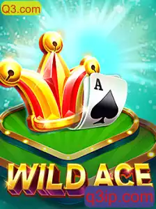 Explorando o Empolgante Mundo de WildAce